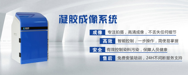 凝膠成像系統